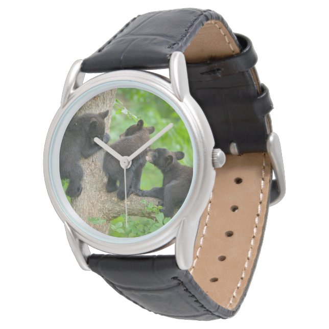 Cutest Baby Animals | Three Young Black Bear Cubs Watch (Angled)