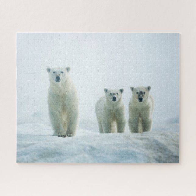 Cutest Baby Animals | Three Young Polar Bears Jigsaw Puzzle (Horizontal)