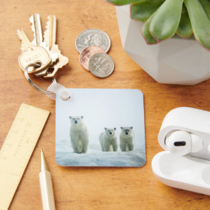 Cutest Baby Animals   Three Young Polar Bears Keychain