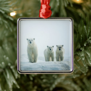 Cutest Baby Animals   Three Young Polar Bears Metal Ornament