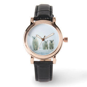 Cutest Baby Animals   Three Young Polar Bears Watch