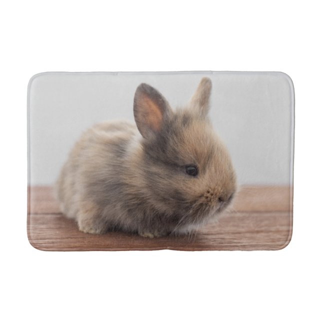 Cutest Baby Animals | Tiny Baby Bunny Bath Mat (Front)