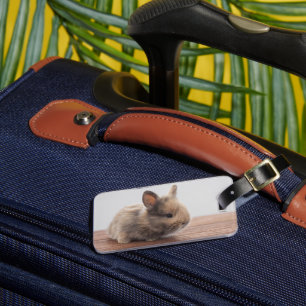 Cutest Baby Animals   Tiny Baby Bunny Luggage Tag