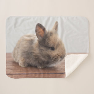 Cutest Baby Animals   Tiny Baby Bunny Sherpa Blanket