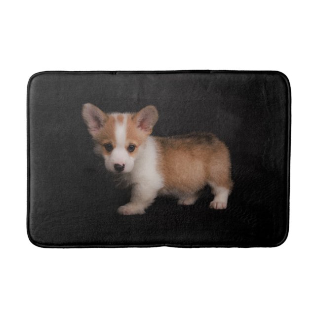 Cutest Baby Animals | Tiny Corgi Bath Mat (Front)