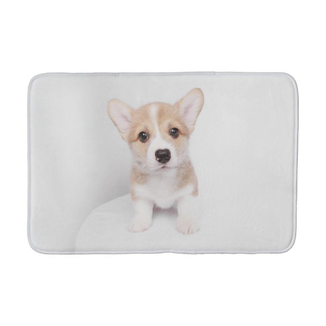 Cutest Baby Animals | Tiny Corgi Bath Mat (Front)