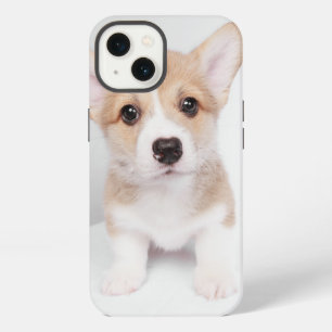 Cutest Baby Animals   Tiny Corgi iPhone 13 Case