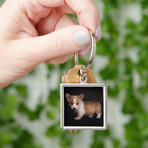 Cutest Baby Animals Tiny Corgi Keychain