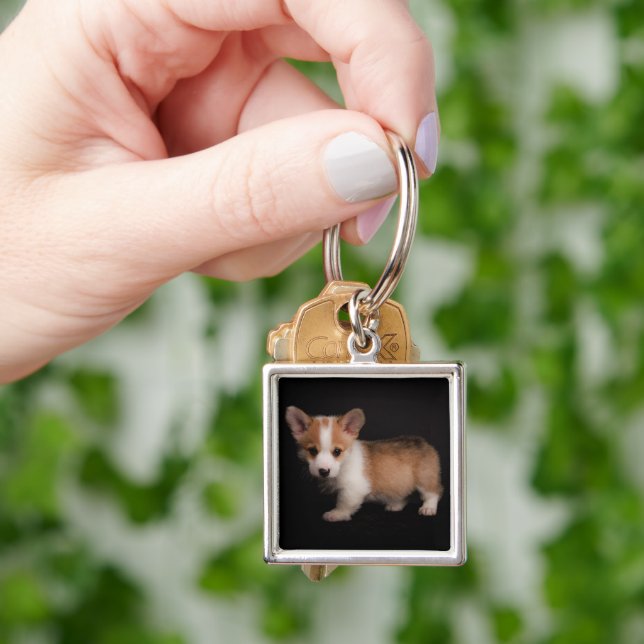 Cutest Baby Animals | Tiny Corgi Keychain (Hand)