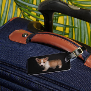 Cutest Baby Animals   Tiny Corgi Luggage Tag