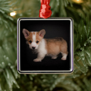 Cutest Baby Animals Tiny Corgi Metal Ornament