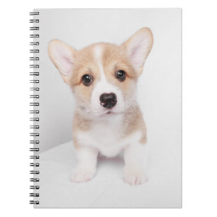 Cutest Baby Animals   Tiny Corgi Notebook
