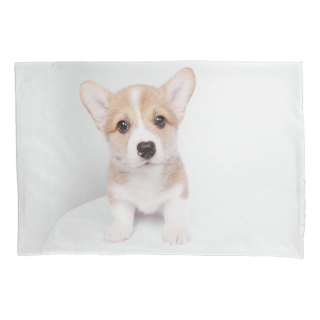 Cutest Baby Animals | Tiny Corgi Pillowcase (Front)
