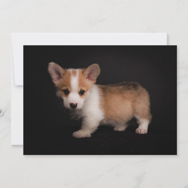 Cutest Baby Animals | Tiny Corgi Thank You Card (Front)