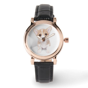 Cutest Baby Animals   Tiny Corgi Watch