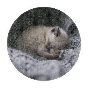 Cutest Baby Animals   Tiny Kitten Sleeping Cutting Board