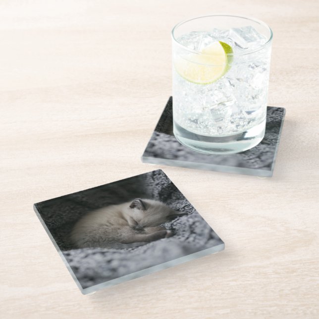 Cutest Baby Animals | Tiny Kitten Sleeping Glass Coaster (Angled)