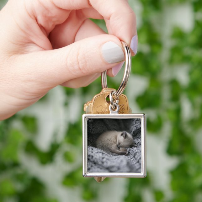 Cutest Baby Animals | Tiny Kitten Sleeping Keychain (Hand)