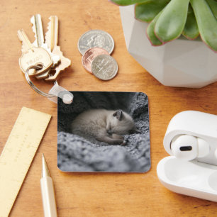 Cutest Baby Animals   Tiny Kitten Sleeping Keychain
