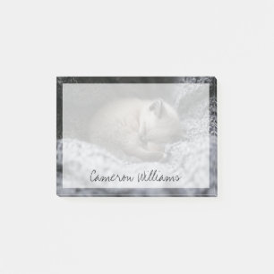Cutest Baby Animals Tiny Kitten Sleeping Post-it Notes