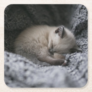 Cutest Baby Animals   Tiny Kitten Sleeping Square Paper Coaster