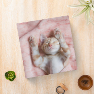 Cutest Baby Animals   Tiny Orange Striped Kitten Binder