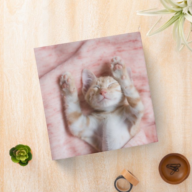 Cutest Baby Animals | Tiny Orange Striped Kitten Binder (In Situ)
