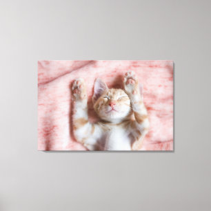 Cutest Baby Animals Tiny Orange Striped Kitten Canvas Print