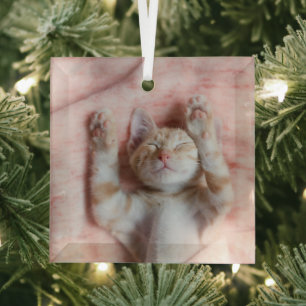 Cutest Baby Animals   Tiny Orange Striped Kitten Glass Ornament