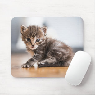Cutest Baby Animals   Tiny Tabby Kitten Mouse Pad