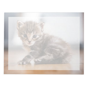 Cutest Baby Animals Tiny Tabby Kitten Notepad