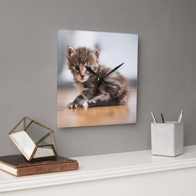 Cutest Baby Animals | Tiny Tabby Kitten Square Wall Clock (Office)