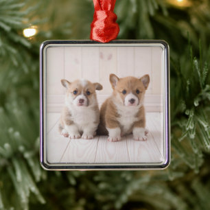 Cutest Baby Animals   Two Baby Corgis Sitting Metal Ornament