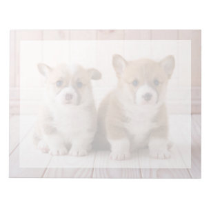 Cutest Baby Animals   Two Baby Corgis Sitting Notepad