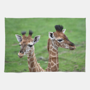 Cutest Baby Animals   Two Baby Giraffes Kitchen Towel