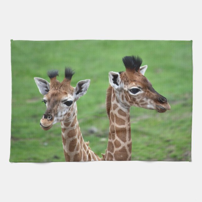 Cutest Baby Animals | Two Baby Giraffes Kitchen Towel (Horizontal)