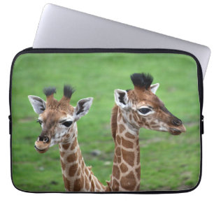Cutest Baby Animals   Two Baby Giraffes Laptop Sleeve