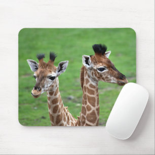 Cutest Baby Animals Two Baby Giraffes Mouse Pad