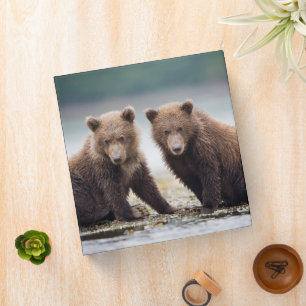 Cutest Baby Animals Two Bear Cubs Binder