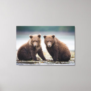 Cutest Baby Animals   Two Bear Cubs Canvas Print