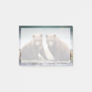Cutest Baby Animals   Two Bear Cubs Post-it Notes
