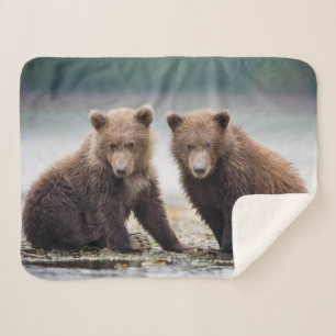Cutest Baby Animals   Two Bear Cubs Sherpa Blanket