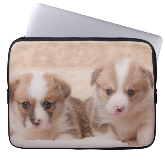 Cutest Baby Animals | Two Corgi Puppies Laptop Sleeve (Front)