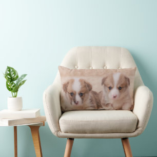 Cutest Baby Animals Two Corgi Puppies Lumbar Pillow