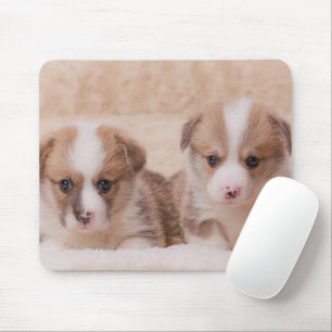 Cutest Baby Animals   Two Corgi Puppies Mouse Pad