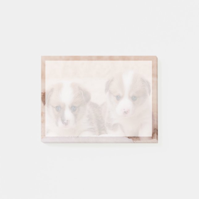 Cutest Baby Animals | Two Corgi Puppies Post-it Notes (Front)