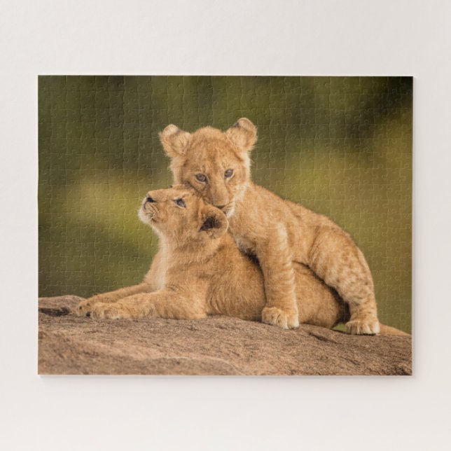 Cutest Baby Animals | Two Lion Cubs Jigsaw Puzzle (Horizontal)