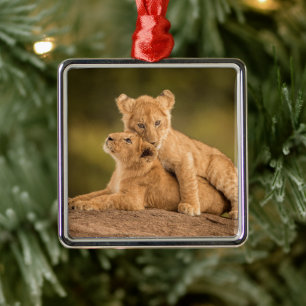Cutest Baby Animals Two Lion Cubs Metal Ornament