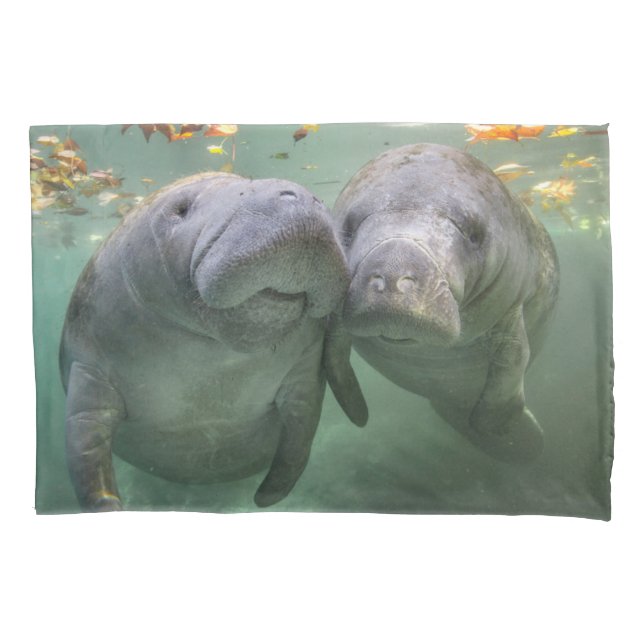 Cutest Baby Animals | Two Manatees Pillowcase (Front)