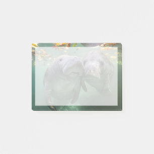 Cutest Baby Animals   Two Manatees Post-it Notes